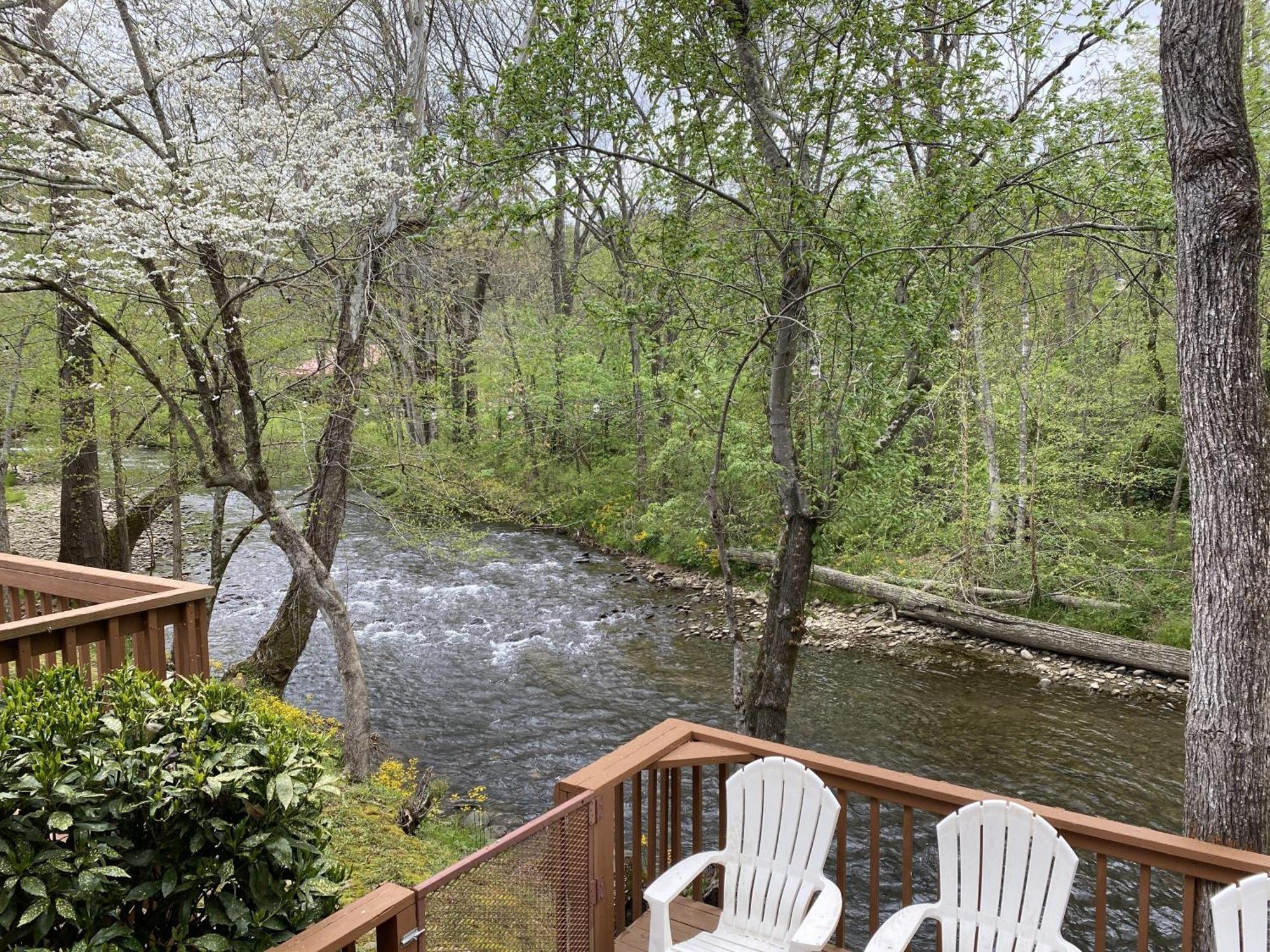 Gray'S Place On Cosby Creek - 2 Bedrooms, 2 Baths, Sleeps 6 Home Exterior photo